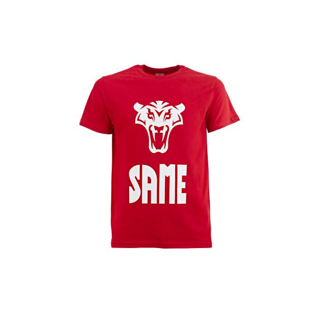 Bild von T-Shirt Herren SAME